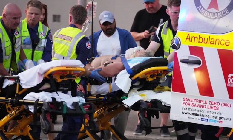 Bystander shown in videos disarming gunman during Australian beach shooting commended for bravery Bystander shown in videos disarming gunman during Australian beach shooting commended for bravery