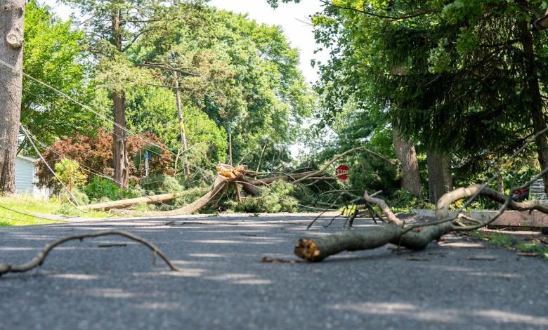 Bucks County residents, need ice to keep food cold amid power outage? Check these stores. Bucks County residents, need ice to keep food cold amid power outage? Check these stores.