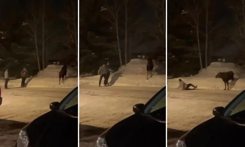 ‘In my state that is 100% illegal’ ‘In my state that is 100% illegal’