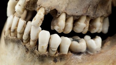 Archaeologists Found a Tooth and Bones That Challenge Assumptions About Christianity Archaeologists Found a Tooth and Bones That Challenge Assumptions About Christianity