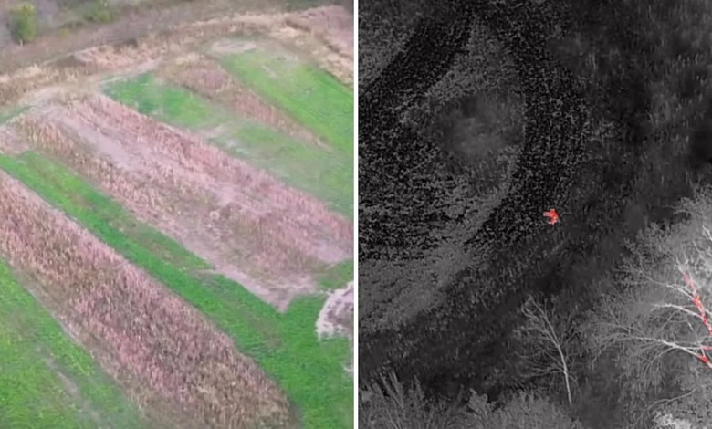 ‘Witnessed the most amazing thing’ ‘Witnessed the most amazing thing’