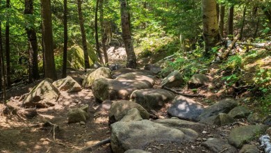 ‘This is very unusual behavior’ ‘This is very unusual behavior’