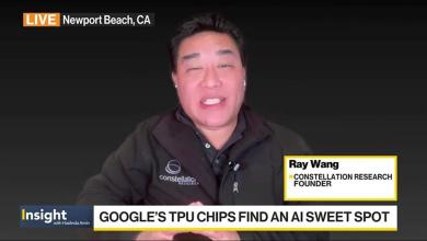 Constellation's Wang on Google-Nvidia Chips Rivalry Constellation's Wang on Google-Nvidia Chips Rivalry