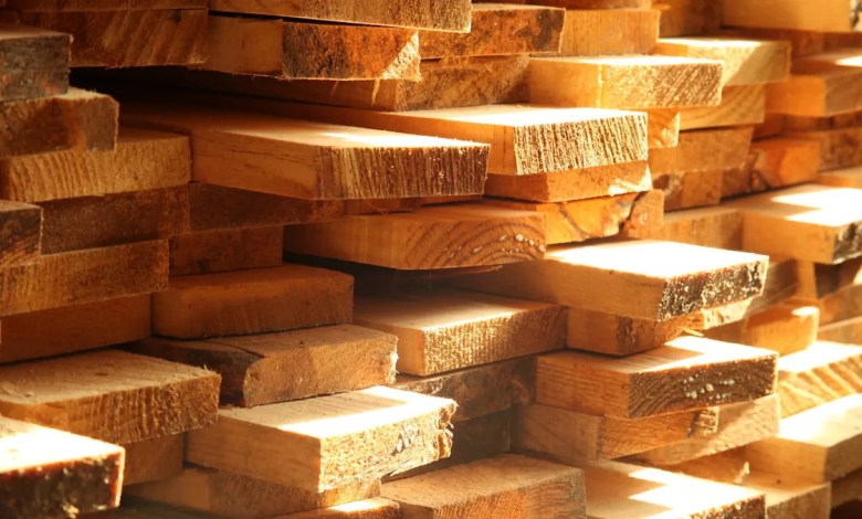 Scientists make incredible breakthrough that could change future of construction: ‘A significant advancement’ Scientists make incredible breakthrough that could change future of construction: ‘A significant advancement’