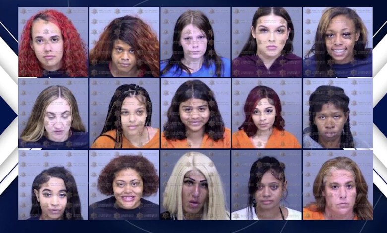 Dozens arrested in Phoenix anti-human trafficking operation: GCU Dozens arrested in Phoenix anti-human trafficking operation: GCU