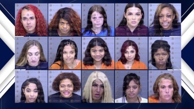 Dozens arrested in Phoenix anti-human trafficking operation: GCU Dozens arrested in Phoenix anti-human trafficking operation: GCU