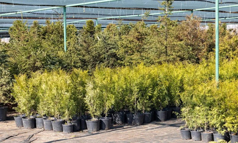 ‘They continually sell them and push misinformation’ ‘They continually sell them and push misinformation’