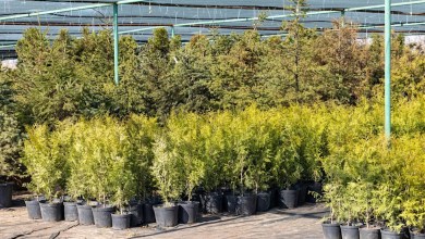 ‘They continually sell them and push misinformation’ ‘They continually sell them and push misinformation’