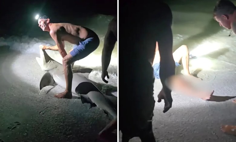 Graphic video shows man paying price after getting too close to beached shark: ‘That was completely avoidable’ Graphic video shows man paying price after getting too close to beached shark: ‘That was completely avoidable’