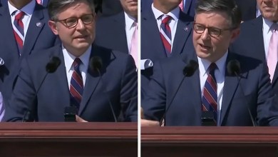 Mike Johnson Had A Veeeeeery Interesting Message For The Pope, And People Are Really Not Vibing With It Mike Johnson Had A Veeeeeery Interesting Message For The Pope, And People Are Really Not Vibing With It