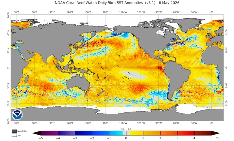 A powerful El Niño is set to reshape global weather in 2026 A powerful El Niño is set to reshape global weather in 2026