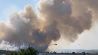 Outpatient centre in Halifax’s Bayers Lake business park closed due to wildfire Outpatient centre in Halifax’s Bayers Lake business park closed due to wildfire
