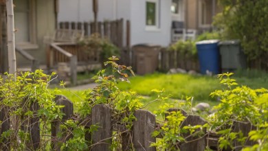 Homeowner outraged after security camera captures neighbor’s shocking actions: ‘What’s wrong with people?’ Homeowner outraged after security camera captures neighbor’s shocking actions: ‘What’s wrong with people?’