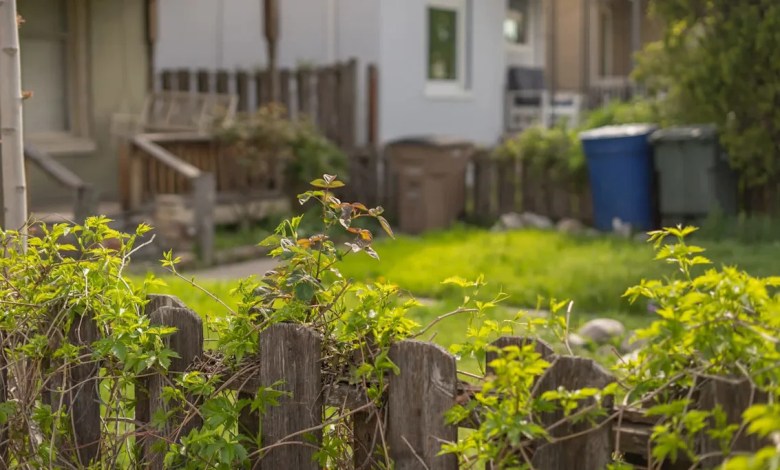 Homeowner outraged after security camera captures neighbor’s shocking actions: ‘What’s wrong with people?’ Homeowner outraged after security camera captures neighbor’s shocking actions: ‘What’s wrong with people?’