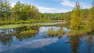 Officials celebrate remarkable transformation of beloved US lake: ‘More than gratifying’ Officials celebrate remarkable transformation of beloved US lake: ‘More than gratifying’
