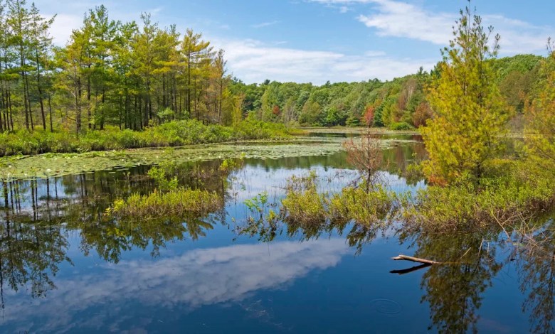 Officials celebrate remarkable transformation of beloved US lake: ‘More than gratifying’ Officials celebrate remarkable transformation of beloved US lake: ‘More than gratifying’
