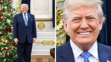 The White House Posted A Pic Of Trump By A Christmas Tree, And His Hand Looks…Interesting The White House Posted A Pic Of Trump By A Christmas Tree, And His Hand Looks…Interesting