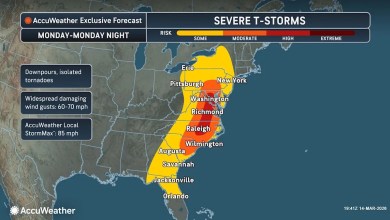 What to expect around Petersburg as Virginia faces severe storms What to expect around Petersburg as Virginia faces severe storms