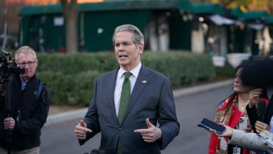 Treasury plans to change tax credit eligibility in a move critics say will hurt immigrant taxpayers Treasury plans to change tax credit eligibility in a move critics say will hurt immigrant taxpayers