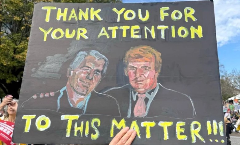These 23 Signs From Today’s “No Kings” Protests Are So Clever They Should Be Framed These 23 Signs From Today’s “No Kings” Protests Are So Clever They Should Be Framed