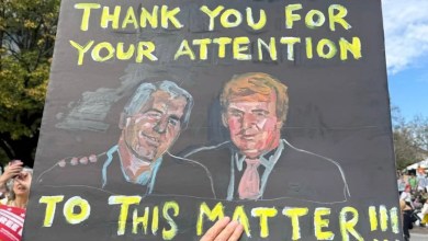 These 23 Signs From Today’s “No Kings” Protests Are So Clever They Should Be Framed These 23 Signs From Today’s “No Kings” Protests Are So Clever They Should Be Framed