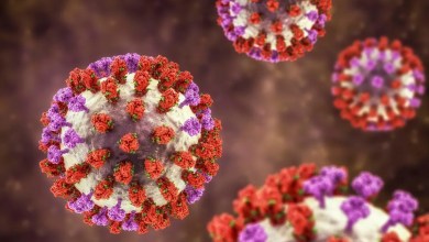 What Infectious Disease Doctors Want You to Know About the Flu Right Now What Infectious Disease Doctors Want You to Know About the Flu Right Now