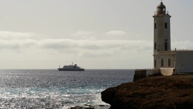 A cruise ship is waiting for help after a suspected outbreak of rare hantavirus onboard killed 3 A cruise ship is waiting for help after a suspected outbreak of rare hantavirus onboard killed 3