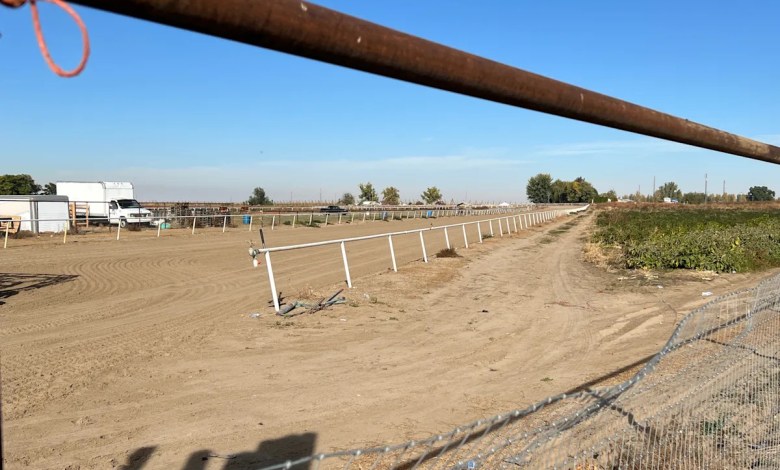 U.S. citizens and legal residents sue over aggressive immigration raid at Idaho horse racing track U.S. citizens and legal residents sue over aggressive immigration raid at Idaho horse racing track