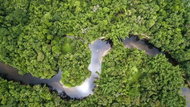 ‘We hit the proverbial jackpot’ ‘We hit the proverbial jackpot’