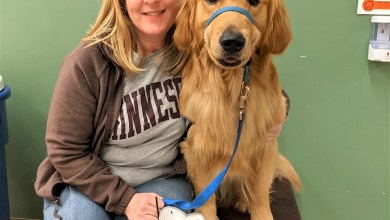 A slain Minnesota lawmaker’s beloved dog, Gilbert, stays with her as she and her spouse lie in state A slain Minnesota lawmaker’s beloved dog, Gilbert, stays with her as she and her spouse lie in state