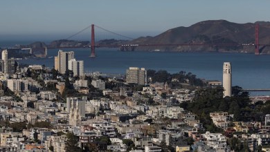 Parvovirus detected in wastewater throughout Northern California Parvovirus detected in wastewater throughout Northern California