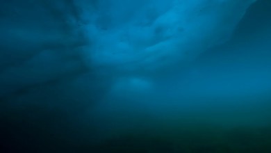 Unmanned submarine detects eerie structure under Antarctica, then loses contact Unmanned submarine detects eerie structure under Antarctica, then loses contact