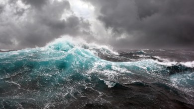 ‘The main thing we need to consider is the effects’ ‘The main thing we need to consider is the effects’