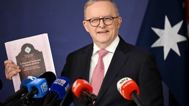 Islamophobic incidents in Australia ‘skyrocketed’ since Israel-Hamas war, envoy reports Islamophobic incidents in Australia ‘skyrocketed’ since Israel-Hamas war, envoy reports