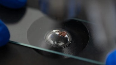 Health officials sound alarm after detecting disease across entire state — here’s what you need to know Health officials sound alarm after detecting disease across entire state — here’s what you need to know