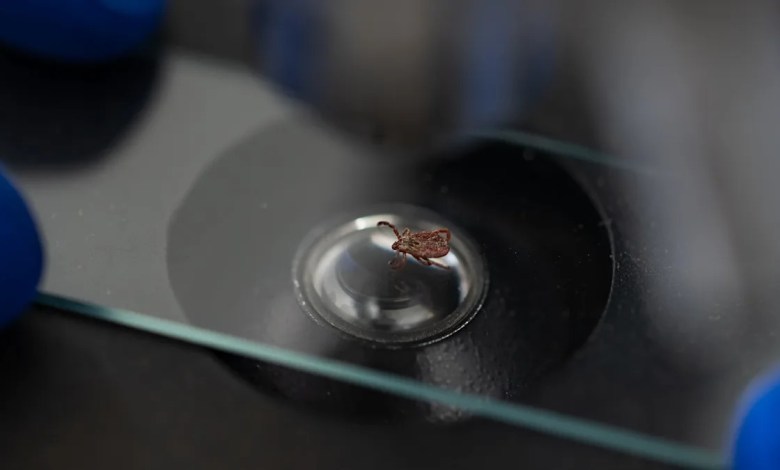 Health officials sound alarm after detecting disease across entire state — here’s what you need to know Health officials sound alarm after detecting disease across entire state — here’s what you need to know