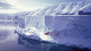 Scientists make startling discovery after analyzing historic photos of Antarctic ice shelves: ‘An unambiguous signal’ Scientists make startling discovery after analyzing historic photos of Antarctic ice shelves: ‘An unambiguous signal’