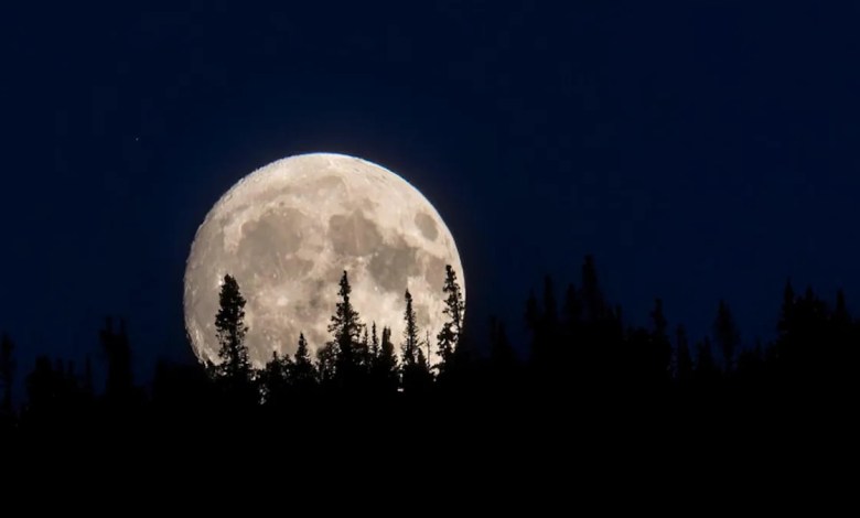 First Full Moon of Summer 2025 shines this week First Full Moon of Summer 2025 shines this week