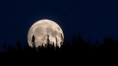 First Full Moon of Summer 2025 shines this week First Full Moon of Summer 2025 shines this week