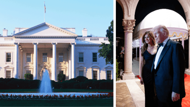 Trump appointee proposes ripping out the White House’s 200-year-old columns for the flashier style found at Mar-a-Lago Trump appointee proposes ripping out the White House’s 200-year-old columns for the flashier style found at Mar-a-Lago