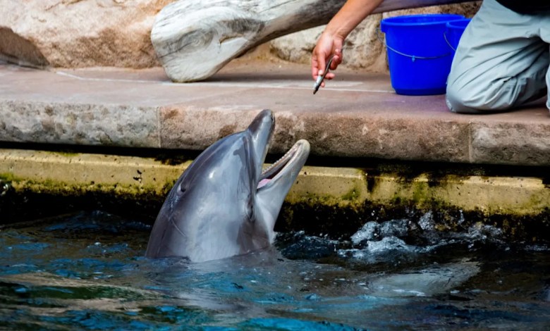 ‘Increasingly recognized as a threat’ ‘Increasingly recognized as a threat’