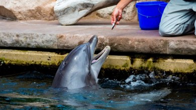 ‘Increasingly recognized as a threat’ ‘Increasingly recognized as a threat’