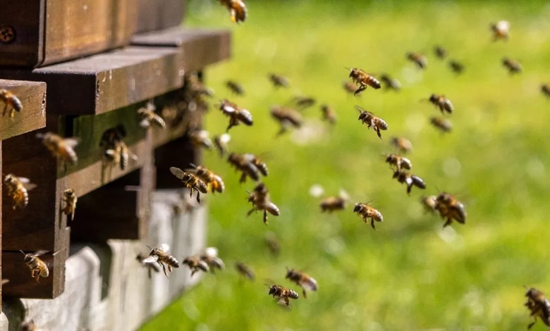 ‘It was … burnt to the ground’ ‘It was … burnt to the ground’