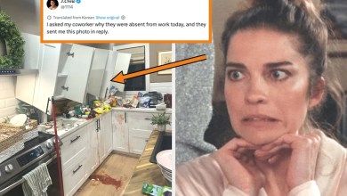 These 27 Hilarious Fails From Last Week Made Me Laugh So Hard I Literally Busted A Gut These 27 Hilarious Fails From Last Week Made Me Laugh So Hard I Literally Busted A Gut