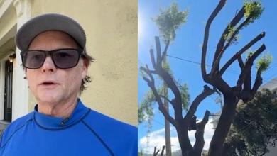 California man pruned 5 trees for his insurer — then got slapped with a crushing ,000 fine. Who’s at fault? California man pruned 5 trees for his insurer — then got slapped with a crushing ,000 fine. Who’s at fault?