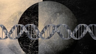 Scientists Found a Ghost Code Hidden in the Human Genome Scientists Found a Ghost Code Hidden in the Human Genome