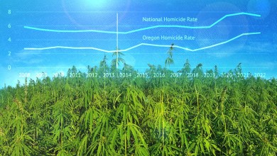 3 Disasters That Legal Weed Didn’t Unleash—Despite the Forecasts 3 Disasters That Legal Weed Didn’t Unleash—Despite the Forecasts