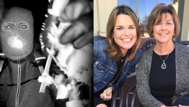 Former FBI special agent says it appears ‘less and less’ likely that the motive for her apparent abduction was ransom Former FBI special agent says it appears ‘less and less’ likely that the motive for her apparent abduction was ransom