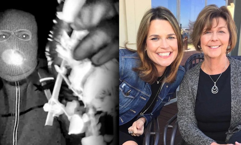 Former FBI special agent says it appears ‘less and less’ likely that the motive for her apparent abduction was ransom Former FBI special agent says it appears ‘less and less’ likely that the motive for her apparent abduction was ransom