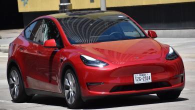 ‘They should never have been taken out’ ‘They should never have been taken out’